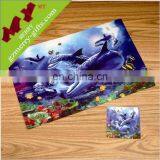 Guangzhou Supplier pp Table Placemat / Custom Silicone Placemat thumbnail-4