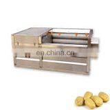 Radish Washing Machine Date Washer Brush Roller Sweet Potato Cleaning Machine Price thumbnail-2