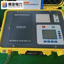 Insulator Salt Tightness Tester DYYM-30 thumbnail-4