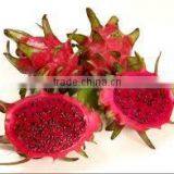 Dragon fruit