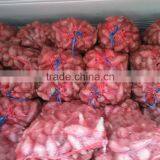 HIGH QUALITY JAPAN SWEET POTATO thumbnail-6