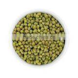 2012 Crop Green Bean thumbnail-1