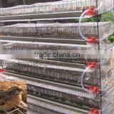 Automatic Quail Layer Cage Systems With Auto Drinker and Feeder thumbnail-2