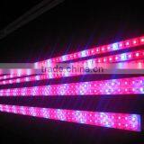 Led Strip Light 5050 60d Rgb 12v thumbnail-2