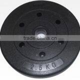 Colored Crossfit Equipment FREE LOGO Bumper Plates