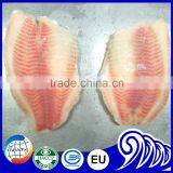 Bulk Tilapia Fillet With High Quality thumbnail-2