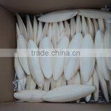 Cuttlefish Bone From Viet Nam With Best Price