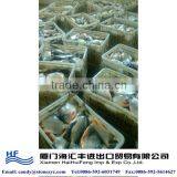 Frozen Fish Company in China thumbnail-1