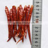 AD Dried Red Chilli HACCP/ GAP/FDA/HALAL thumbnail-3