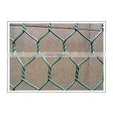 Galvanized Wire Mesh