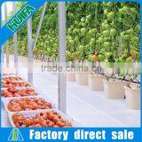 Factory Wholesale Dutch Bucket for Tomato Hydroponic System thumbnail-2