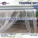 Knotless/rashecl Fishing Net