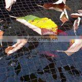 Pool Safety Net thumbnail-4