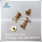 China supplier hardware manufacturing brass male and female screw with Logo