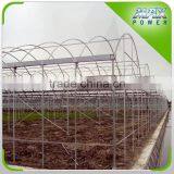 High Quality Cheap High Poly Tunnel Greenhouse