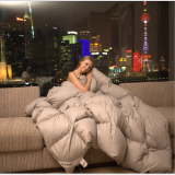 China Factory Sale Polyester Comforter Sets thumbnail-5