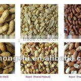 HONGSHI COLOR SORTER MACHINE FOR RAISINS thumbnail-6