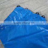 Super Light & Cheap PE Tarpaulin Made in Feicheng Shandong China , Korea Standard thumbnail-2