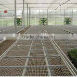 Greenhouse Beach System for Flowers thumbnail-1