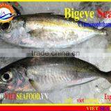 FROZEN BIGEYE SCAD WHOLE ROUND thumbnail-1