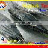 W/R FROZEN SKIPJACK TUNA thumbnail-1