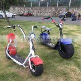 2017 Zhejiang Factory Latest Steel Quality Citycoco Electric Ebike Fat Economic Model thumbnail-1