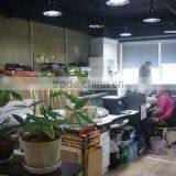 Ningbo Jiangdong Best Promise Imp. & Exp. Co., Ltd. company overview - view 2 thumbnail