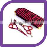 Lefty Professional Hairdressing Hair Scissors Shears