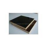 Film Faced Plywood Board Manufacturer thumbnail-2