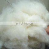 Pure mongolian 100%cashmere fibre white 16.5mic/32-34mm