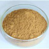 Astragalus Root Extract,Astragalus Root Extract lowering blood lipid,Astragalus Root Extract protect liver Manufacturer