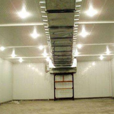 Apricot Fruit Principle and Advantages of Controlled Atmosphere Storage thumbnail-2