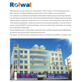 Lewei Pumps Industry Co.,Ltd company overview - view 1 thumbnail