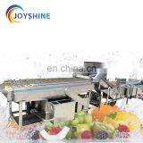 Factory Supply CE Approved Potato Washing Grading Machine Carrot Washing Machine thumbnail-5