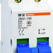ZBG1-100 2P MCB Miniature Circuit Breaker