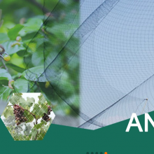 Protective Net Machine thumbnail-4