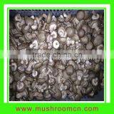 Hot Sale Smooth Surface Fresh Shiitake Mushroom thumbnail-1