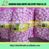 2016 New Crop Organic White Garlic Price Wholesale Chinese Garlic thumbnail-1