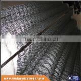 High Quality Hot Dipped Galvanized and Pvc Coated Wholesale Chain Link Fence (Trade Assurance)