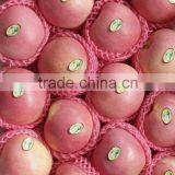 Top Quality thumbnail-4