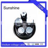 High Voltage Cable LDPE in Tunnel N2XS(F)2Y thumbnail-2