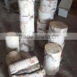 China Wholesale Birch Wood Log for Showcase Decoration thumbnail-6
