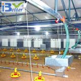 BT factory chicken farming for broiler chicken