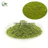 Matcha Green Tea Diet Benefit Health