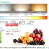 Led Bulbs Eco Light Bulb E27 Energy Saver 3w 5w 7w 9w 12w 15W Bulb Light thumbnail-2