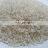 Vietnam Sushi Rice ( Japonica Rice ) thumbnail-2
