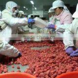 Qingdao Elites-United Foodstuff Co., Ltd. company overview - view 3 thumbnail