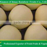 Golden Apple thumbnail-5