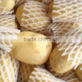 Supply Fresh Yellow Potatoes thumbnail-1