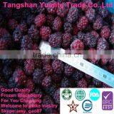 2014 Season Frozen Blackberry, Best Quality For Our Customers